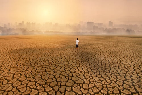 Eco-Anxiety, a Consequence of Climate Change