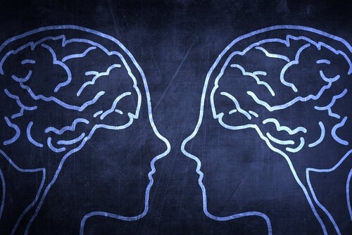 How Does the Social Brain Give Humans an Evolutionary Advantage?