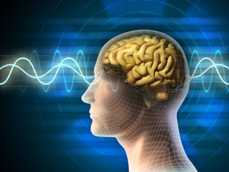 An image representing brain waves.