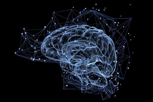 Illuminated brain.