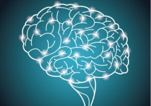 The World's Largest Experiment on Intelligence