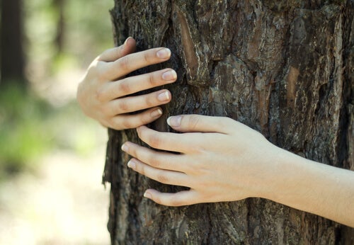 An image representing ecofeminism of a women embracing a tree.