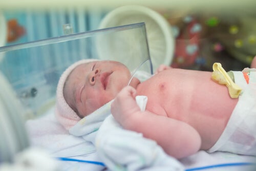 A newborn in an incubator.