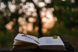 What's the Relationship Between Poetry and the Brain?