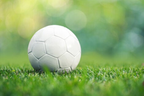 A soccer ball.