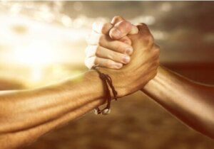 The Gahuku-Gama: Equality and Solidarity