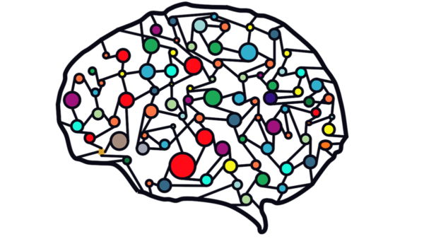 A brain with colors.