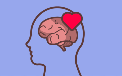 A brain and a heart representing emotional self-regulation.