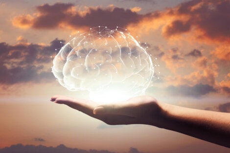 Someone holding a brain in their hand.