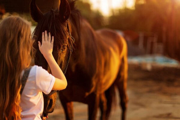A person trying to get over a fear of horses.