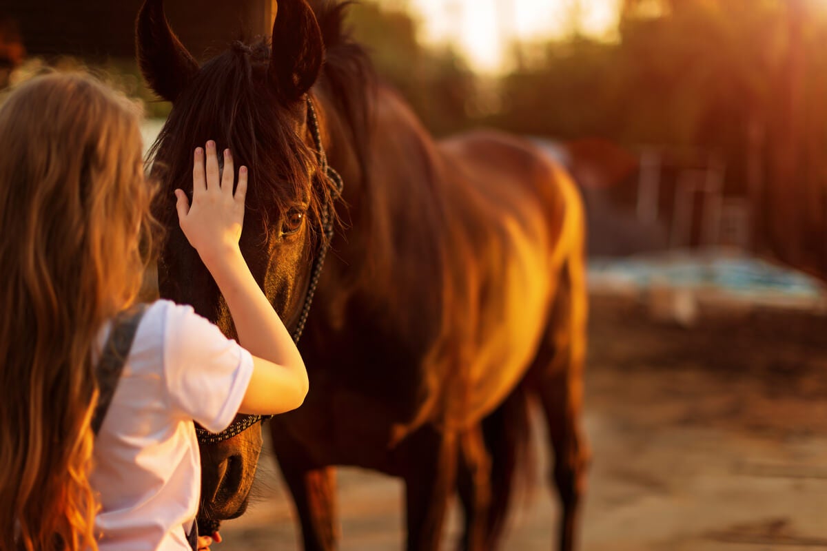 Fear of Horses or Hippophobia Exploring your mind