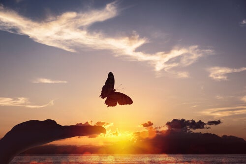 A butterfly and an extended hand.