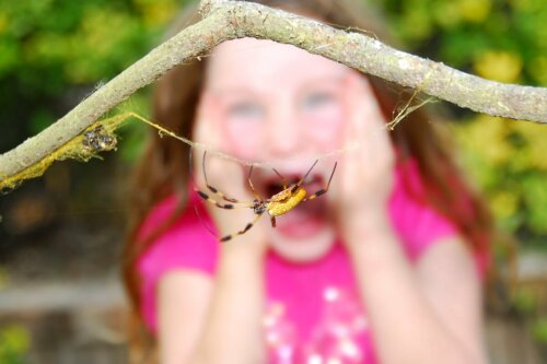 A child terrified of a spider.
