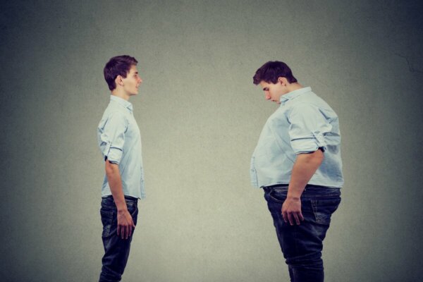 Fatphobia, the Only Elephant in the Room