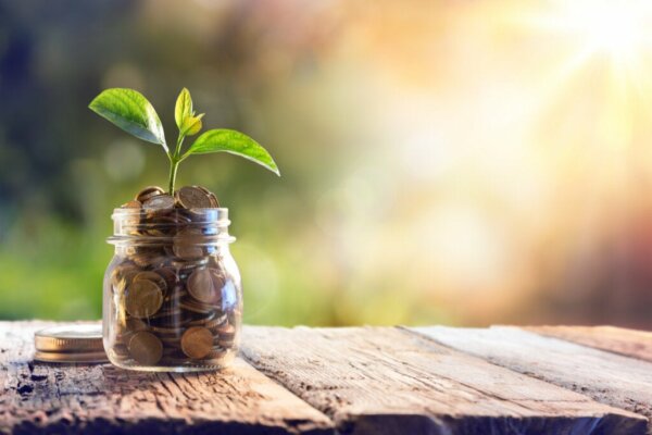 The Characteristics of Frugal People