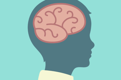 The brain of a child has a concrete operations stage.