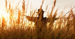 The Straw Man Proposal for Problem Solving