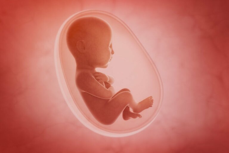 Sensory Development in Unborn and Newborn Babies