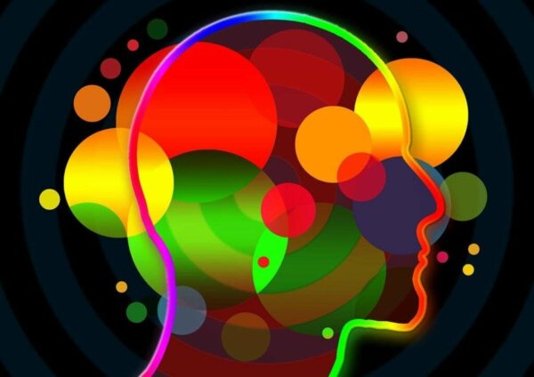 What Are Socio-Emotional Skills?