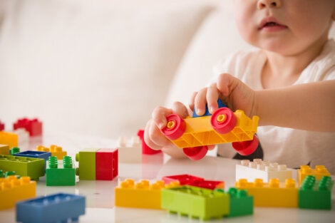 A baby in the sensorimotor stage of development.
