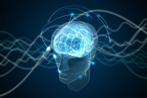 A brain representing human consciousness.