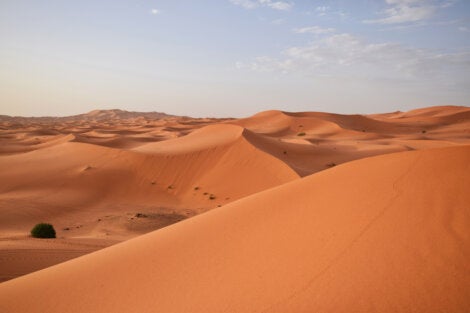 The Sahara desert.