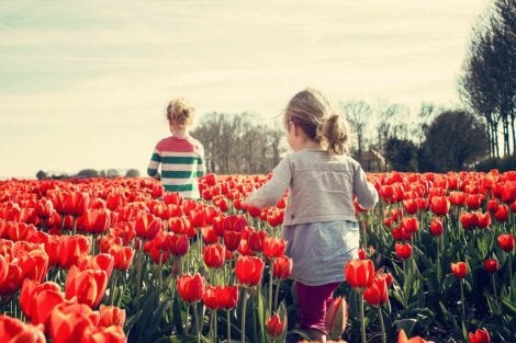 Two kids walking through a tulip field learning socio-emotional skills.
