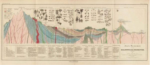 A chart showing Earth structure and fauna and flora.