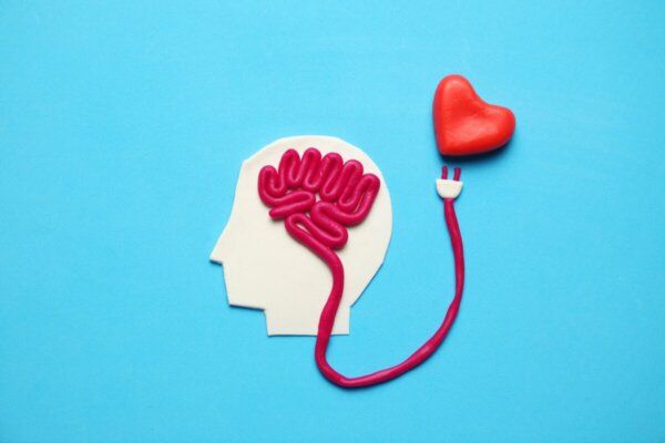 A brain and a heart.