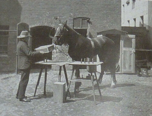Clever Hans and its master.