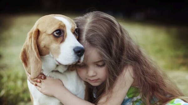 A girl with Asperger's showing empathy towards a dog.