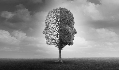 A tree with two faces.