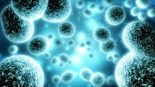 A world of lit up cells.