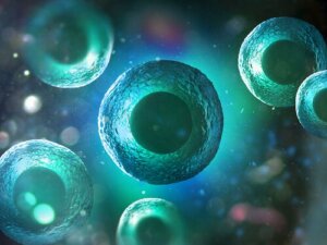 Cells Light Up Before They Die, According to a Study