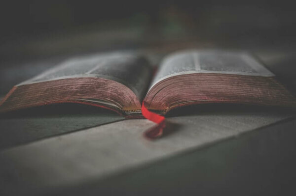 An open book.