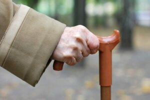 Cane Fu, a New Martial Art for Senior Citizens