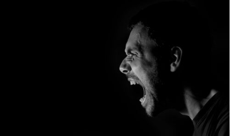 Impulsive Aggression: a Neurobiological Explanation
