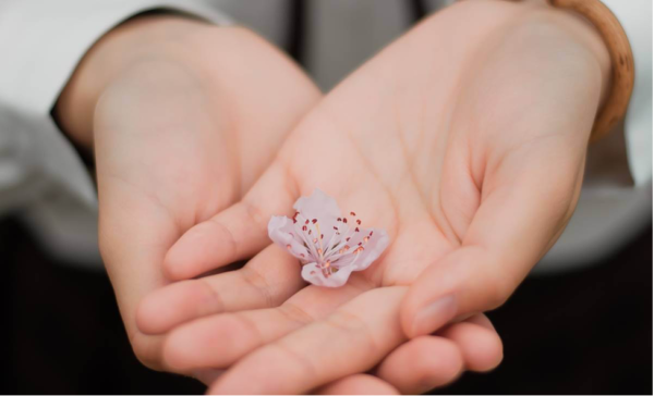 A flower in the palm of a hand.