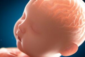 Pachygyria: The "Smooth" Brain