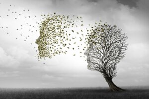 The Various Stages of Alzheimer's Disease