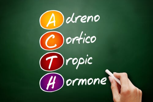 ACTH letters.