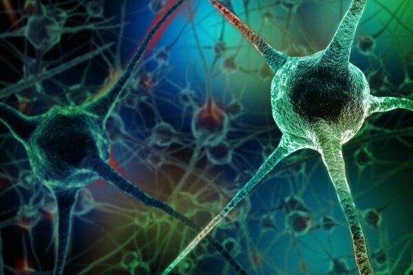 Have You Heard About These Neuron-Killing Habits?
