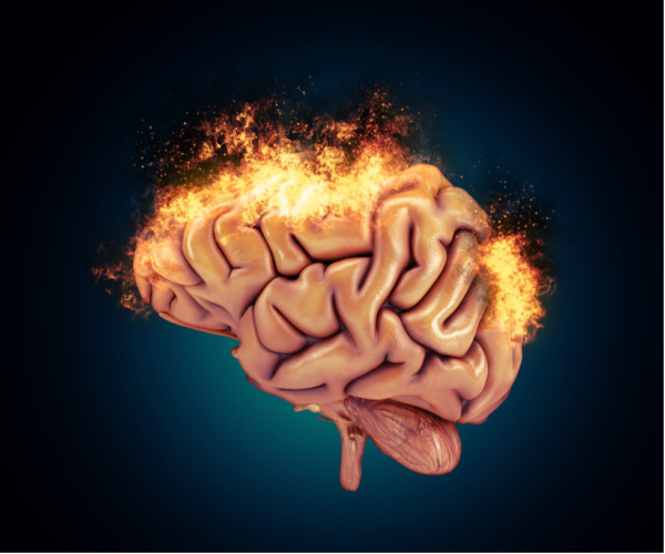 The reactive brain.