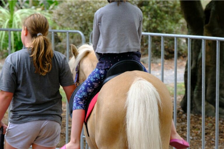 Equine-Assisted Therapy: Benefits, Uses, and Disciplines