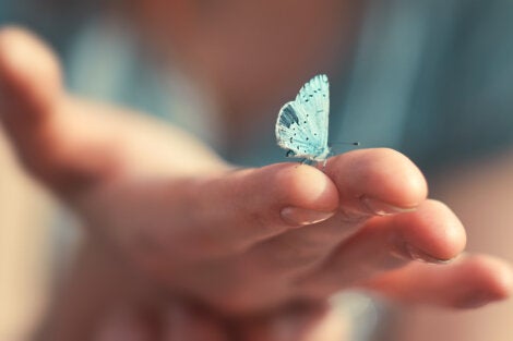 A person holding a butterfly.