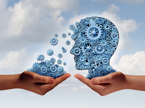 The Modular Theory of Mind: How Our Brains Process Information