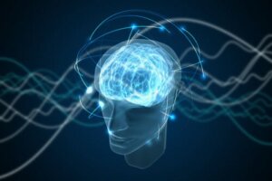 The Fascinating Theory of Quantum Consciousness