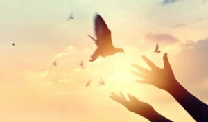 The Definition of Strength According to Fromm: The Road to Fullness