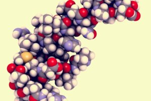The Hormone Hypocretin and its Many Functions