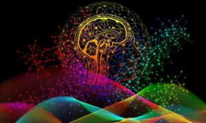 The Importance of Your Brain's Unique Neural Signatures